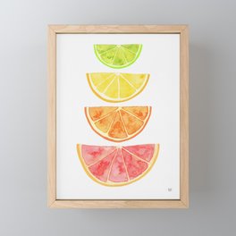 Citrus Stack Framed Mini Art Print