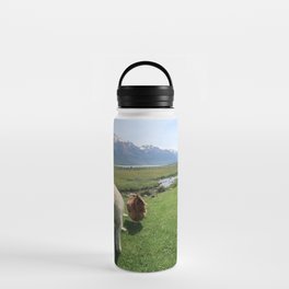 Buddies (Photograph of Lamb and Chicken) Water Bottle