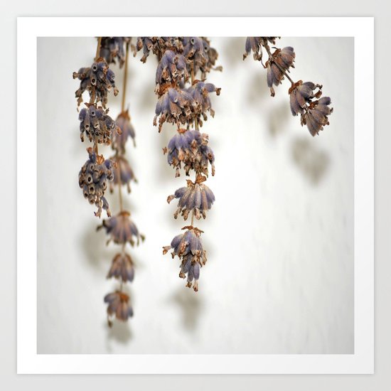 nature ##### # Art Print