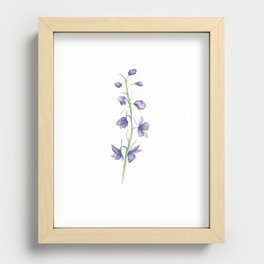 Larkspur Wildflower Recessed Framed Print