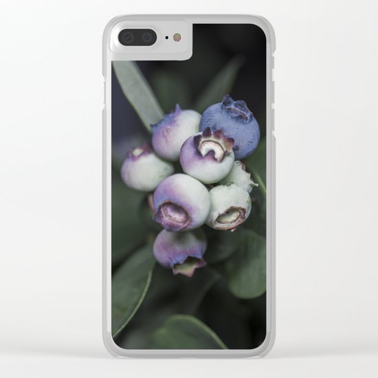 Blueberries ripening Clear iPhone Case