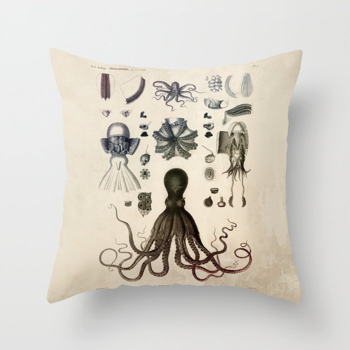 1826 Diagram Zoology: Cephalopods, Octopuses Throw Pillow