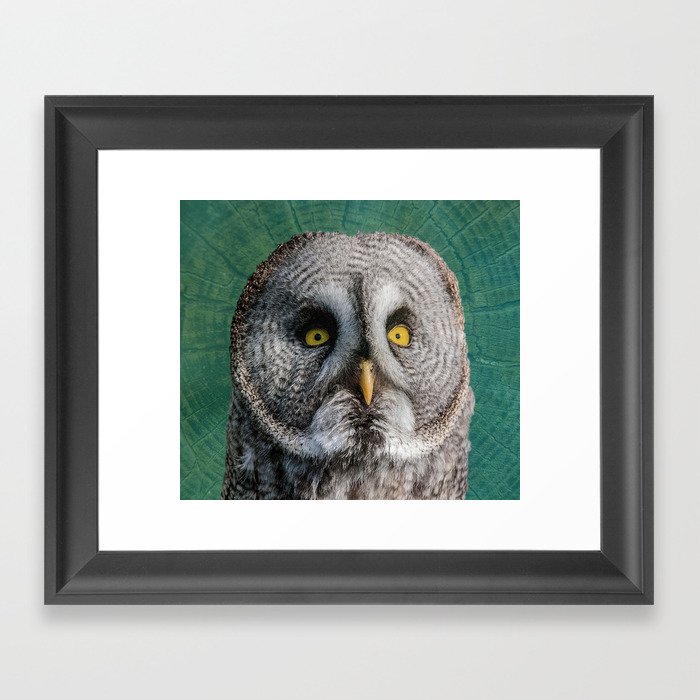 GREY OWL Framed Art Print