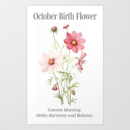 October birth month art print, Cosmos Art Print