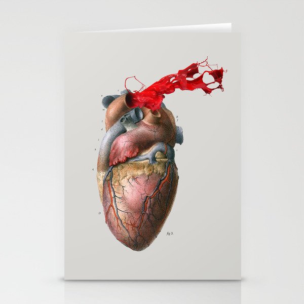 Broken Heart - Fig. 3 Stationery Cards