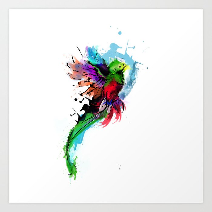 Watercolor Quetzal  Art Print