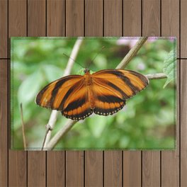 Mexico Photography - Beautiful Orange Butterfly With Black Stripes Outdoor Rug