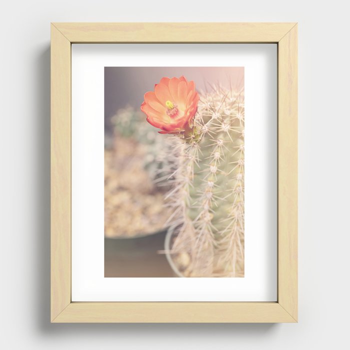 Recessed Framed Print