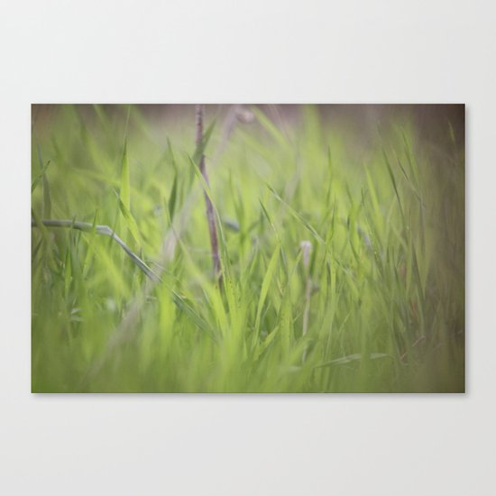 Memories Canvas Print