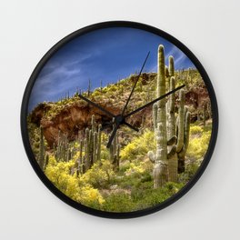 Tonto National Monument, AZ Wall Clock | Salado, Az, Nationalmonument, Cactus, Photo, Superstition, Kathyweaver, Palaverti, Mountains, Arizona 