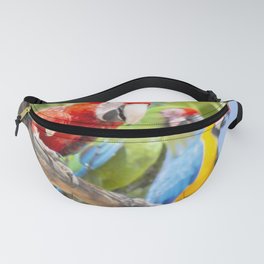 Curious macaws Fanny Pack