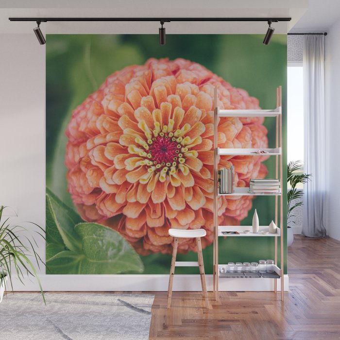 Zinnia, Queen Red Lime Wall Mural
