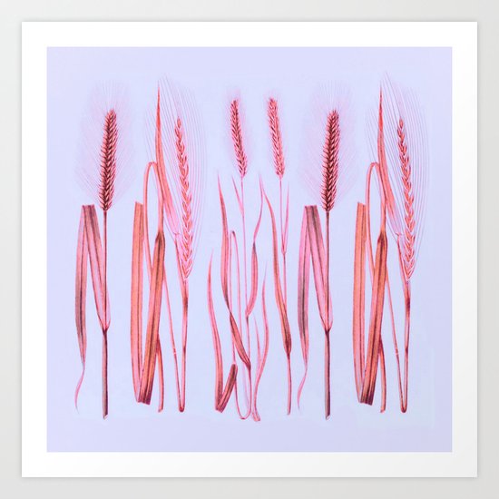 pink ears of wheat on pale blue Art Print