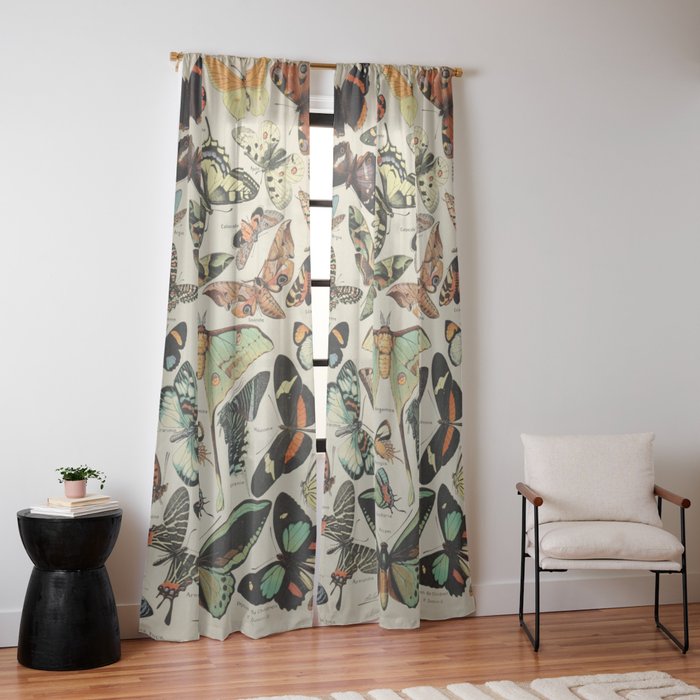 Window Curtain