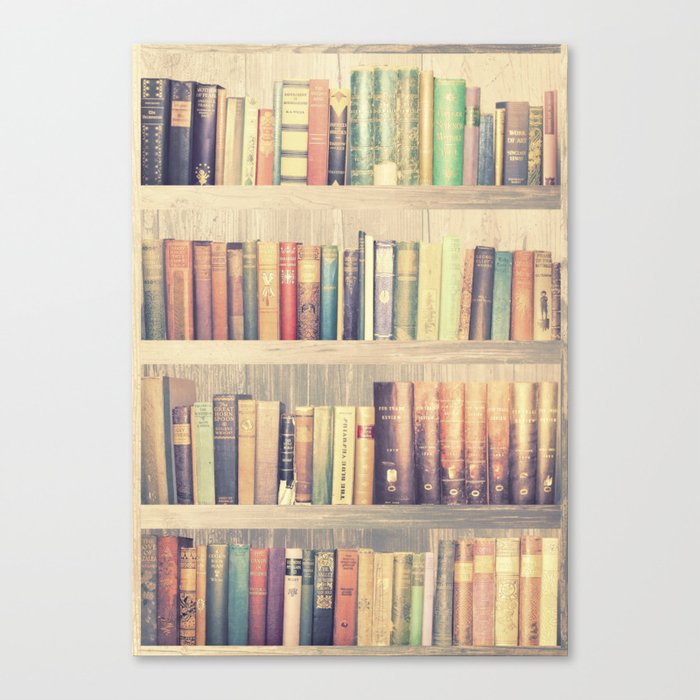 dream with books love of reading bookshelf collage canvas print by