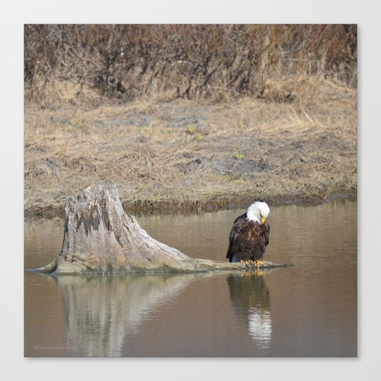 Self Reflection! Canvas Print