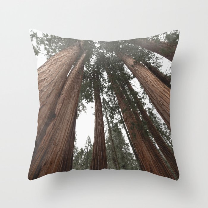 Sky Climbers - Sequoia Throw Pillow