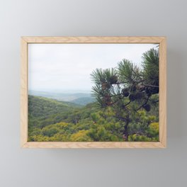 Harriman State Park Framed Mini Art Print