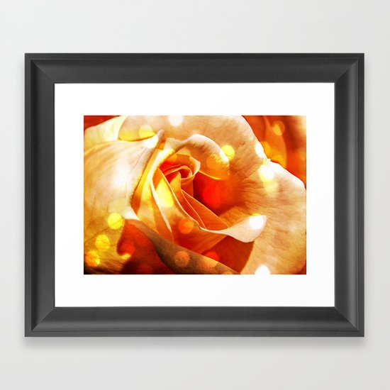 Rose Framed Art Print