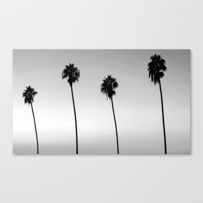 Black and White San Diego Palms - California Canvas Print