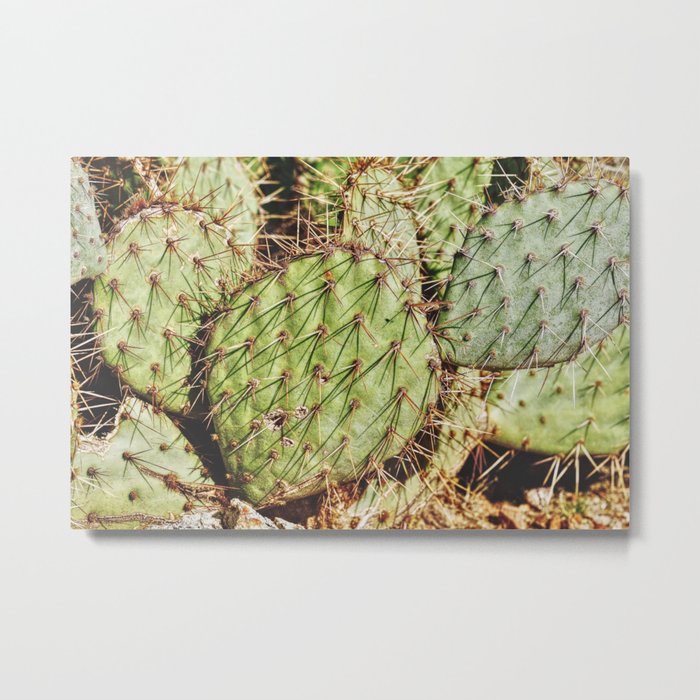 Desert Cactus Detail Metal Print