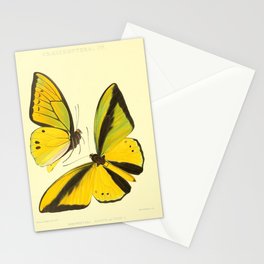 Lepidoptera Butterfly Pattern WFK Cottagecore Lithograph Print Stationery Cards