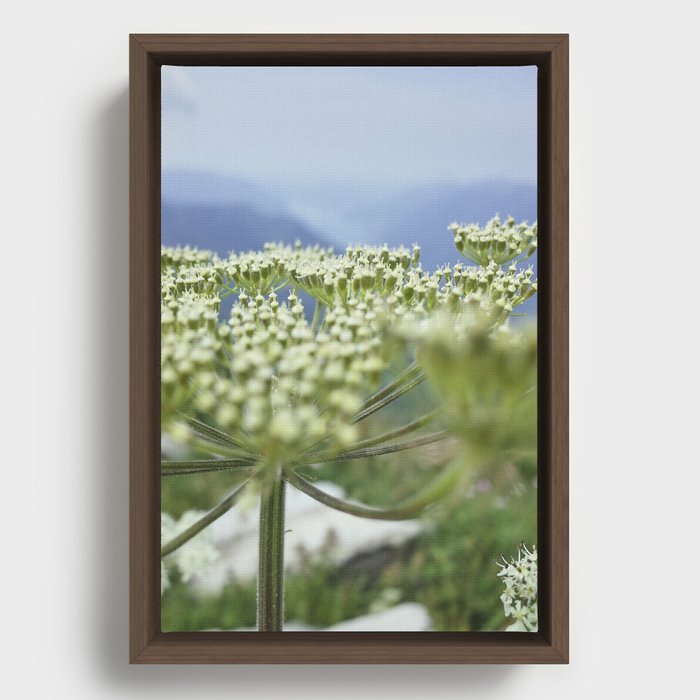 White Flower | Nature Photography #flower #decor #art     Framed Canvas