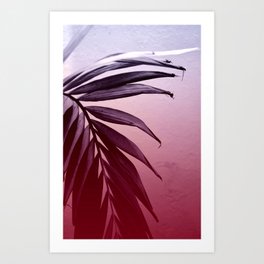 Tropic 4 Art Print