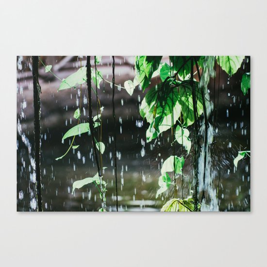 Behind A Waterfall Canvas Print