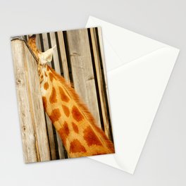 Shy giraffe | Africa wildlife shots | Animal Portrait  Stationery Card