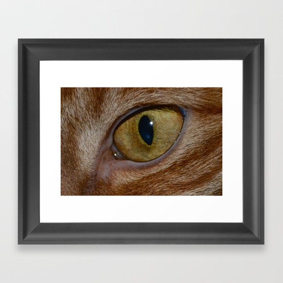 Cat Eye Framed Art Print