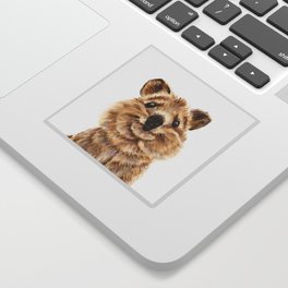 Quokka, the happiest animal on Earth Sticker