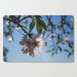 Soft pink petals and almond blossom in Spain Cutting Board