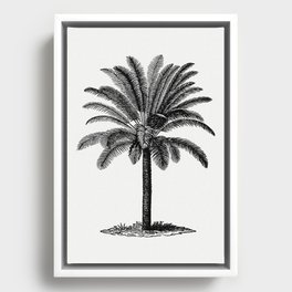 Vintage European Style Palm Tree Engraving Framed Canvas