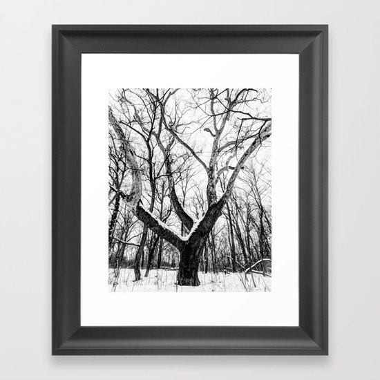entanglement Framed Art Print