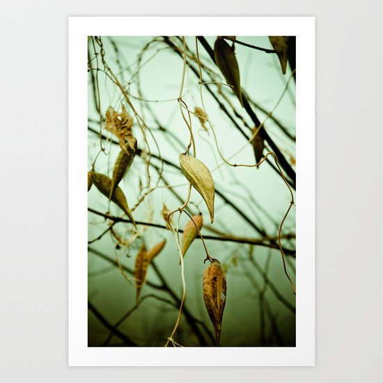 Entangled Lives Art Print