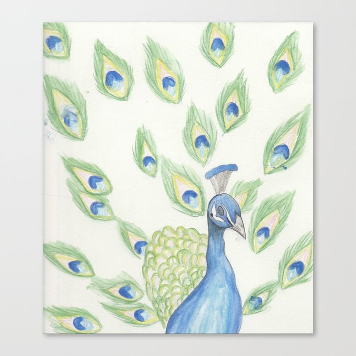 Watercolour Peacock Canvas Print