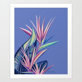 Bird of Paradise - Periwinkle Art Print