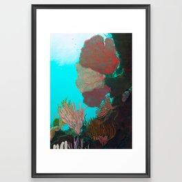 Colored Corals in Mexico | Underwaterworld  Framed Art Print