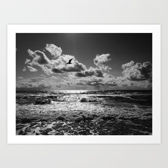Seagull over sea Art Print