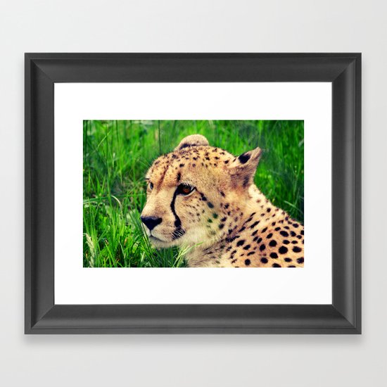 these beautiful eyes Framed Art Print