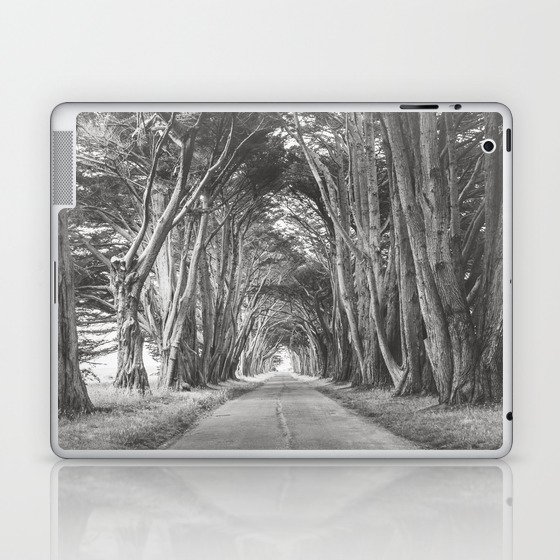 Cypress Tree Avenue - Travel Photography Laptop & iPad Skin