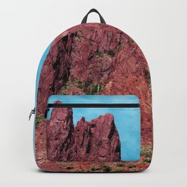 Palm Canyon Arizona Backpack