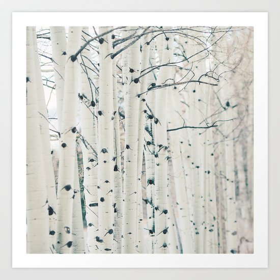 Aspen I Art Print