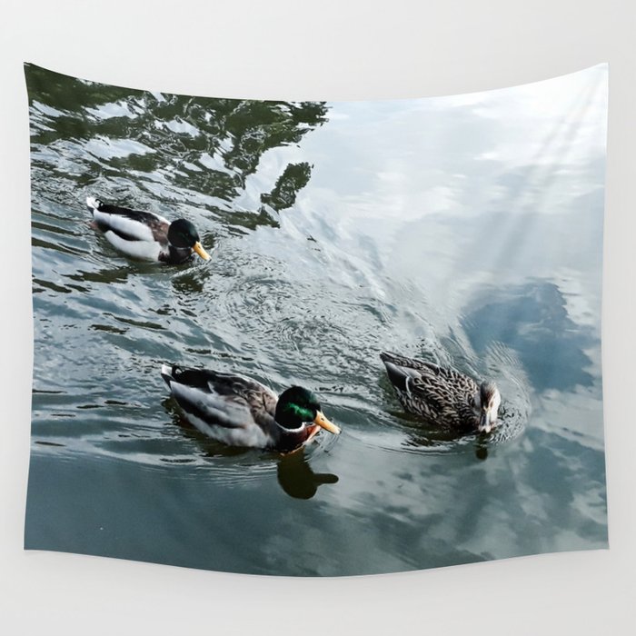 Three ducks swimming Wall Tapestry