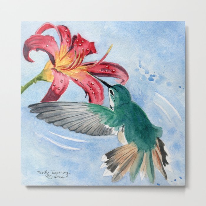 Hummingbird Metal Print