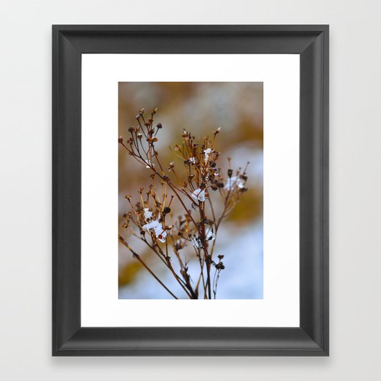 Frosty Days Framed Art Print