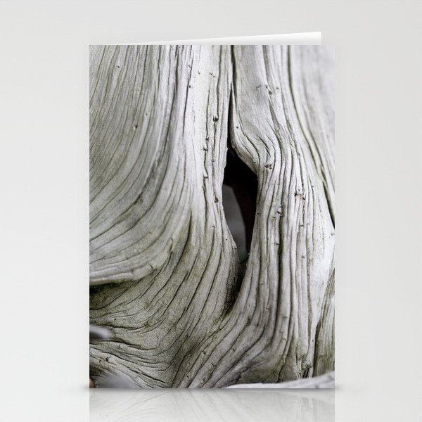 Tree Bark Detail in Japan - Organic Botanical Structures - Abstract Detail of Nature Wall Art Stationery Cards