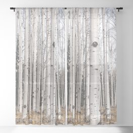 Trees of Reason - Birch Forest Sheer Curtain