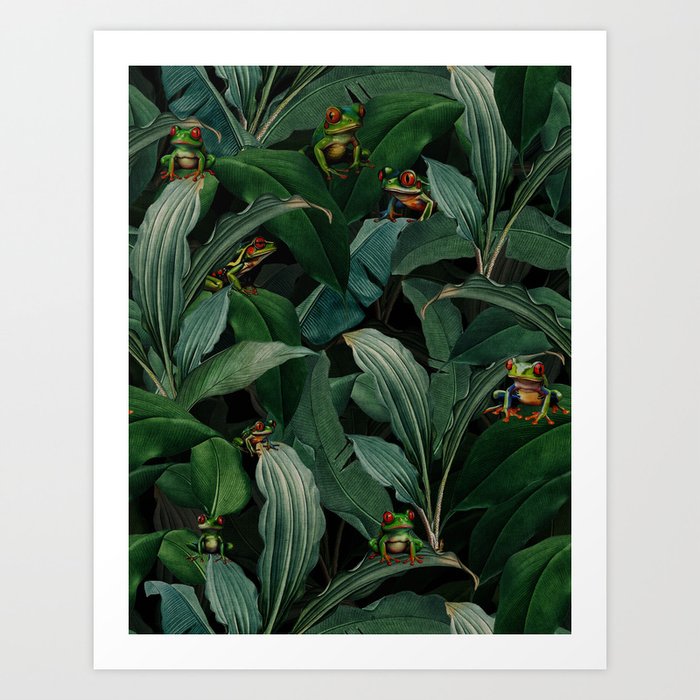 Vintage Midnight Frogs in Rainforest Jungle  Art Print
